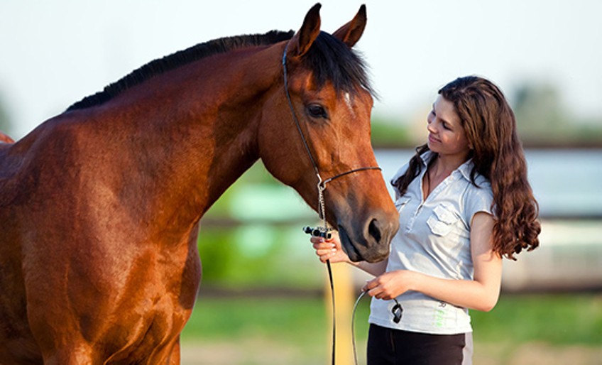 Pferde-Haftpflichtversicherung - Frau steht im Pferd auf der Koppel